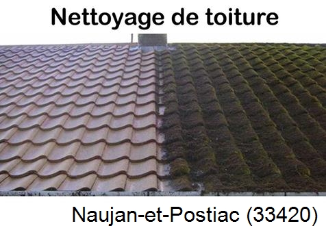 Travaux démoussage toiture Naujan-et-Postiac-33420
