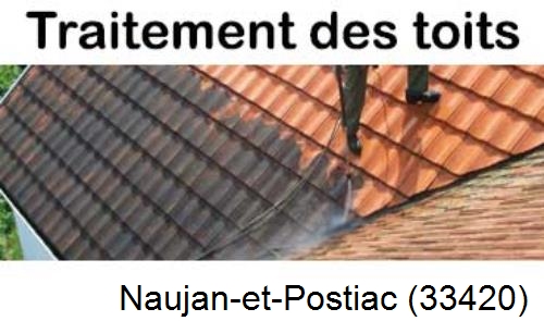Entreprise de peinture toiture Naujan-et-Postiac-33420
