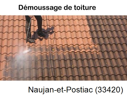 Rénovation démoussage et nettoyage en gironde Naujan-et-Postiac-33420