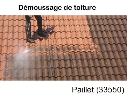Rénovation démoussage et nettoyage en gironde Paillet-33550
