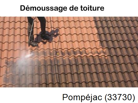 Rénovation démoussage et nettoyage en gironde Pompéjac-33730