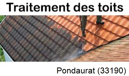 Entreprise de peinture toiture Pondaurat-33190