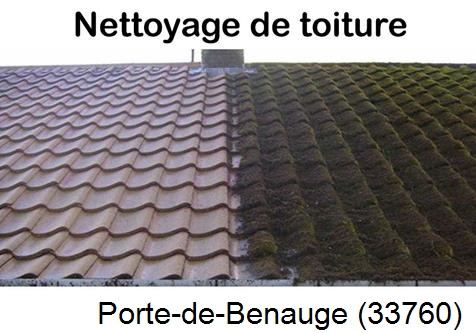 Travaux démoussage toiture Porte-de-Benauge-33760