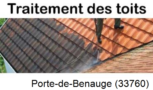 Entreprise de peinture toiture Porte-de-Benauge-33760