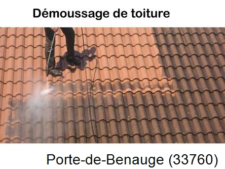 Rénovation démoussage et nettoyage en gironde Porte-de-Benauge-33760