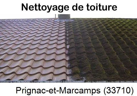 Travaux démoussage toiture Prignac-et-Marcamps-33710