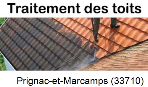 Entreprise de peinture toiture Prignac-et-Marcamps-33710