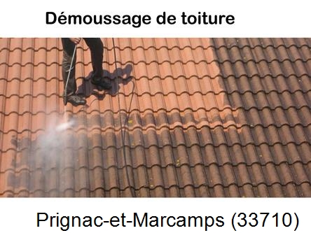 Rénovation démoussage et nettoyage en gironde Prignac-et-Marcamps-33710