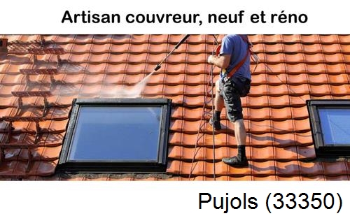 Anti-mousse sur toiture Pujols-33350