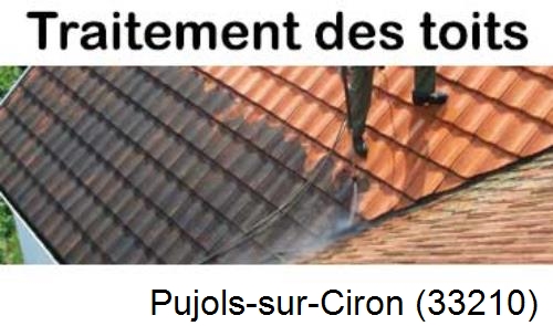 Entreprise de peinture toiture Pujols-sur-Ciron-33210
