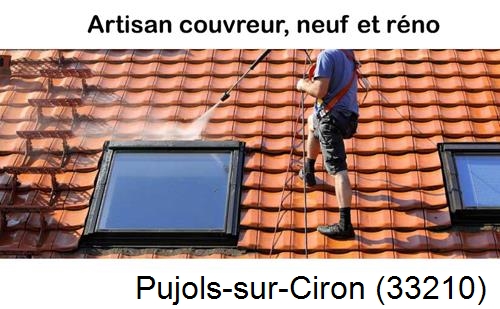 Anti-mousse sur toiture Pujols-sur-Ciron-33210