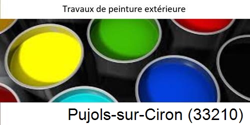 Peintre Pujols-sur-Ciron-33210