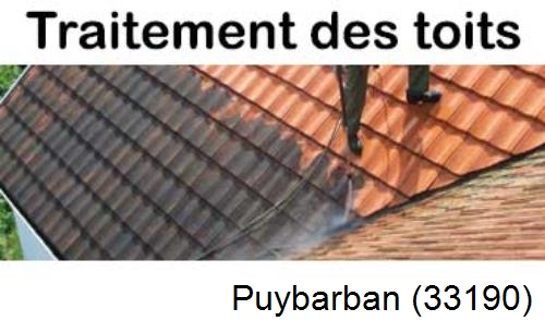 Entreprise de peinture toiture Puybarban-33190