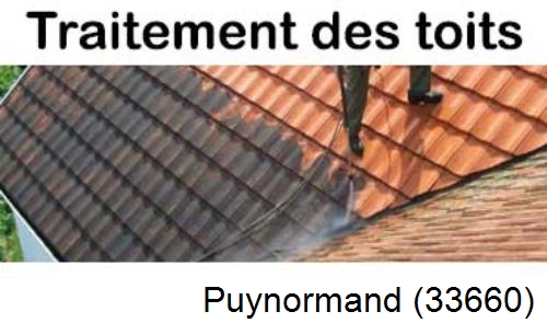 Entreprise de peinture toiture Puynormand-33660