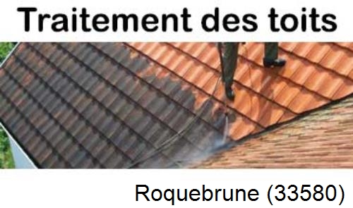 Entreprise de peinture toiture Roquebrune-33580