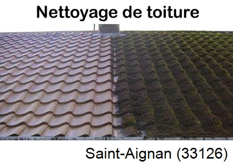 Travaux démoussage toiture Saint-Aignan-33126