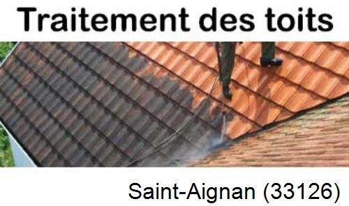 Entreprise de peinture toiture Saint-Aignan-33126