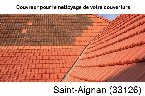 Avant après démoussage Saint-Aignan-33126
