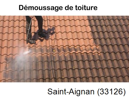 Rénovation démoussage et nettoyage en gironde Saint-Aignan-33126