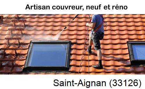 Anti-mousse sur toiture Saint-Aignan-33126