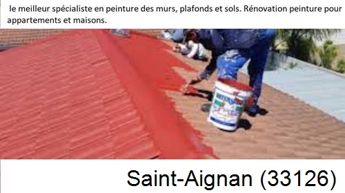 Artisan Peintre Saint-Aignan-33126