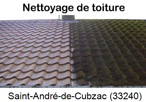 Travaux démoussage toiture Saint-André-de-Cubzac-33240