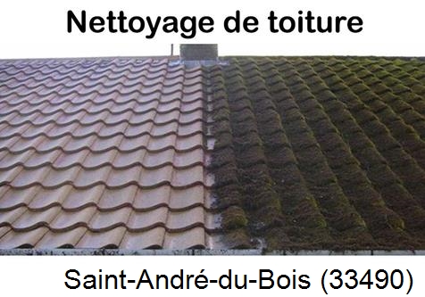 Travaux démoussage toiture Saint-André-du-Bois-33490