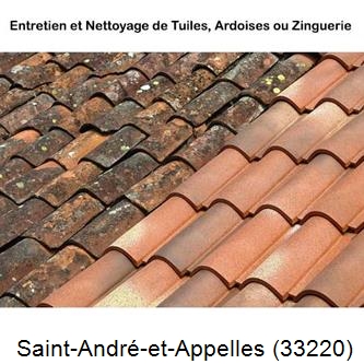 démoussage Saint-André-et-Appelles-33220