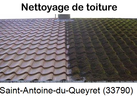 Travaux démoussage toiture Saint-Antoine-du-Queyret-33790