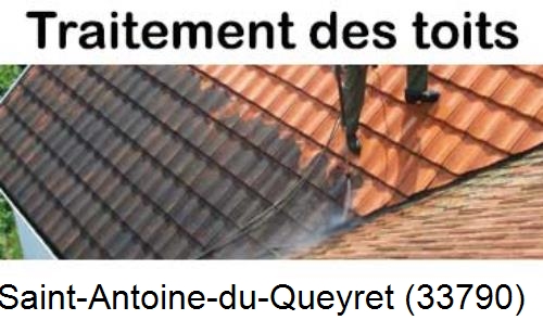 Entreprise de peinture toiture Saint-Antoine-du-Queyret-33790