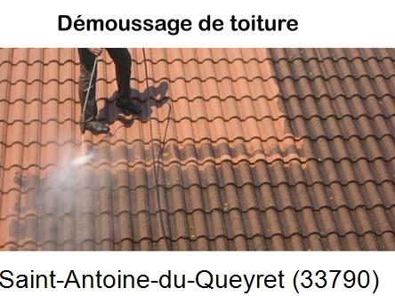 Rénovation démoussage et nettoyage en gironde Saint-Antoine-du-Queyret-33790