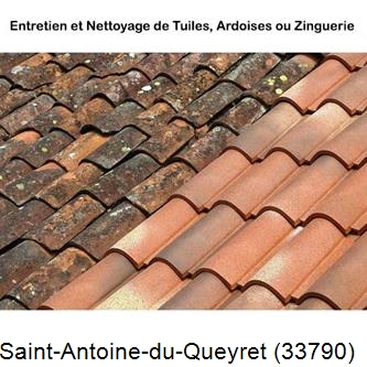 démoussage Saint-Antoine-du-Queyret-33790
