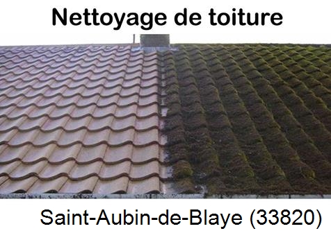Travaux démoussage toiture Saint-Aubin-de-Blaye-33820