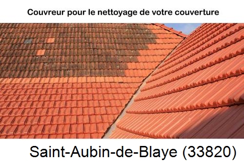 Avant après démoussage Saint-Aubin-de-Blaye-33820
