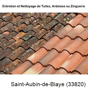 démoussage Saint-Aubin-de-Blaye-33820