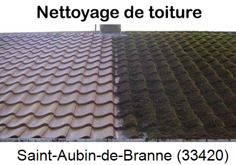 Travaux démoussage toiture Saint-Aubin-de-Branne-33420