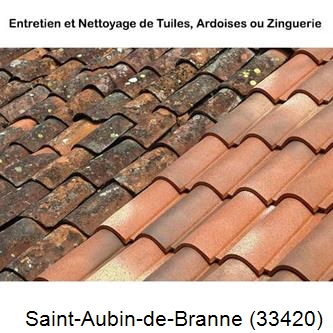 démoussage Saint-Aubin-de-Branne-33420