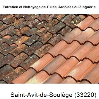 démoussage Saint-Avit-de-Soulège-33220