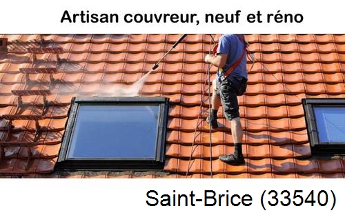 Anti-mousse sur toiture Saint-Brice-33540