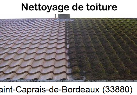 Travaux démoussage toiture Saint-Caprais-de-Bordeaux-33880