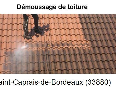 Rénovation démoussage et nettoyage en gironde Saint-Caprais-de-Bordeaux-33880