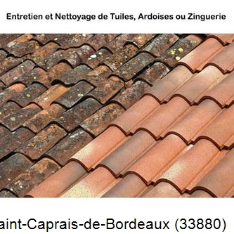 démoussage Saint-Caprais-de-Bordeaux-33880