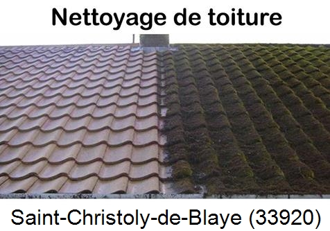 Travaux démoussage toiture Saint-Christoly-de-Blaye-33920