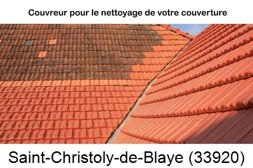 Avant après démoussage Saint-Christoly-de-Blaye-33920