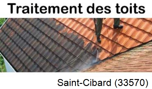 Entreprise de peinture toiture Saint-Cibard-33570