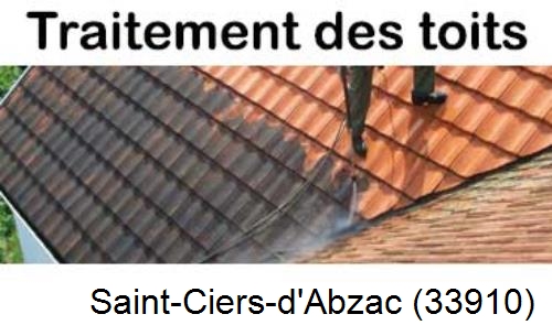 Entreprise de peinture toiture Saint-Ciers-d'Abzac-33910