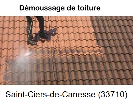 Rénovation démoussage et nettoyage en gironde Saint-Ciers-de-Canesse-33710