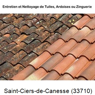 démoussage Saint-Ciers-de-Canesse-33710