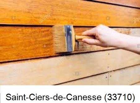 Peintre à Saint-Ciers-de-Canesse-33710