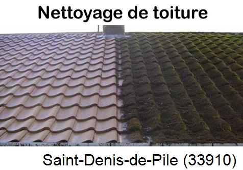 Travaux démoussage toiture Saint-Denis-de-Pile-33910